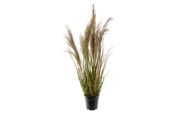 Kaemingk Gras in pot plastic groen | L30-W30-H85cm