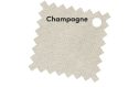 Platinum parasols champagne